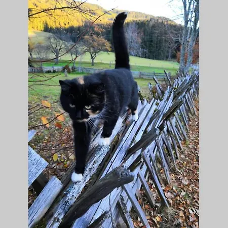 Dutzler * ザンクト・マルティン・アム・テンネンゲビルゲ