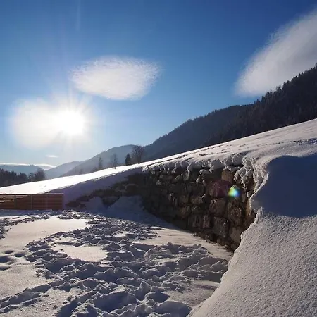 Dutzler Lejlighed Sankt Martin am Tennengebirge