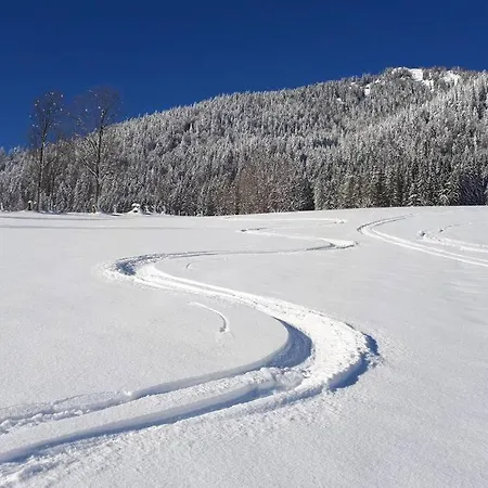 Dutzler アパート ザンクト・マルティン・アム・テンネンゲビルゲ