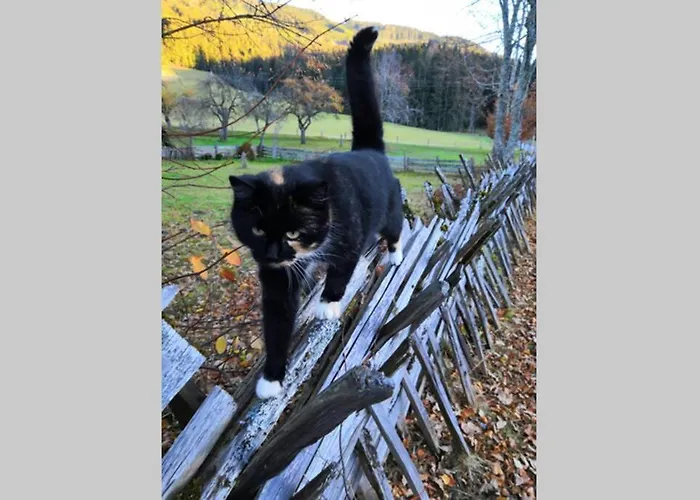 Dutzler * Sankt Martin am Tennengebirge