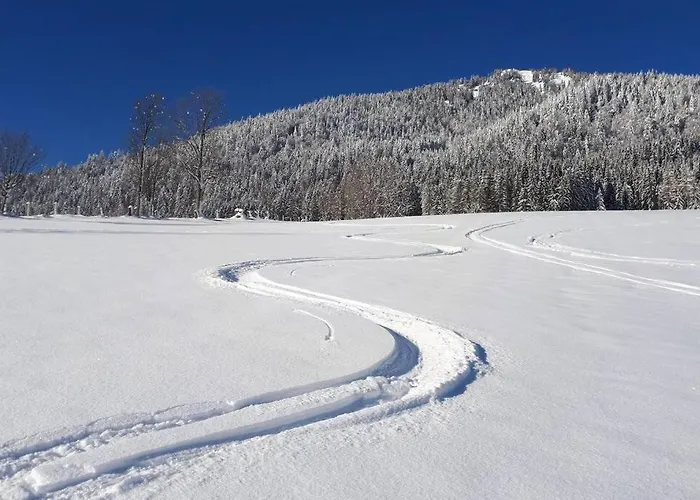 Dutzler Apartament Sankt Martin am Tennengebirge