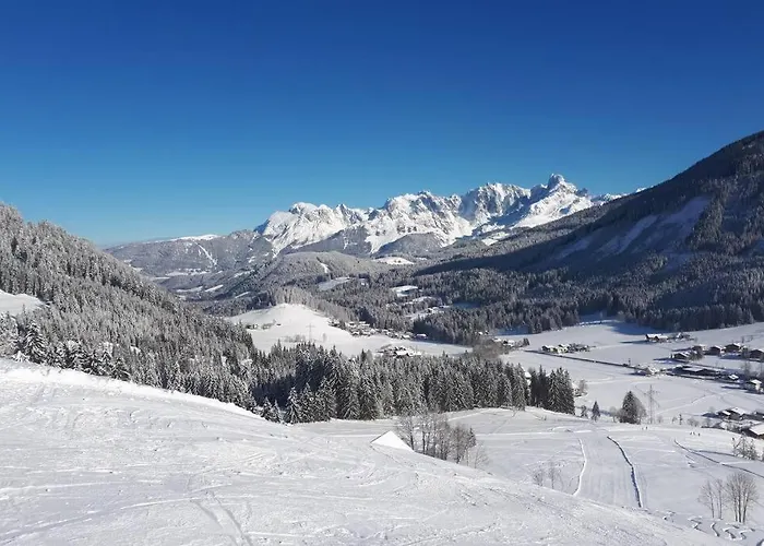 Apartament Dutzler *