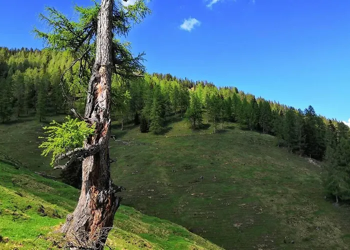 Dutzler Sankt Martin am Tennengebirge